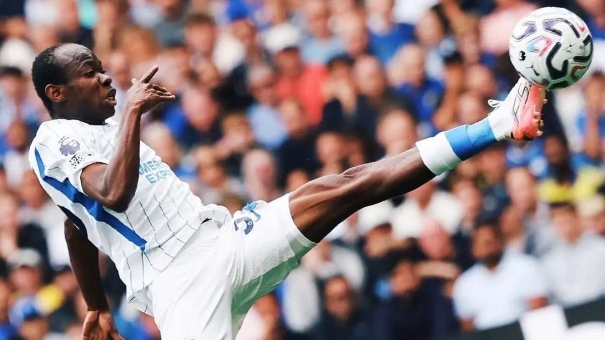 Analisis Mendalam tentang Prediksi Skor Brighton