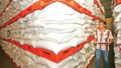 Produksi Pangan Nasional di Tengah Tantangan El Niño