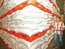 Produksi Pangan Nasional di Tengah Tantangan El Niño