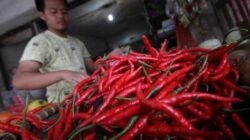 Kenaikan Harga Cabai dan Komoditas Pangan di Pasar Tradisional