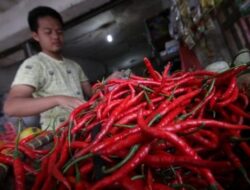 Kenaikan Harga Cabai dan Komoditas Pangan di Pasar Tradisional
