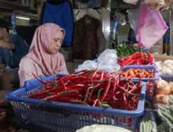 Kenaikan Harga Cabai Rawit di Jakarta: Faktor Penyebab dan Dampak