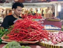 Kenaikan Drastis Harga Cabai Merah di Jakarta