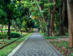 Malam Hari di Taman Jakarta: Alternatif Wisata Gratis 24 Jam