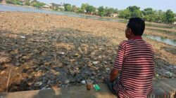 Krisis Lingkungan di Setu Cilodong: Bau Tak Sedap Ganggu Warga