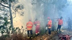 Kesulitan Pemadaman Kebakaran Hutan di Bromo akibat Cuaca Buruk