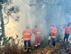 Kesulitan Pemadaman Kebakaran Hutan di Bromo akibat Cuaca Buruk