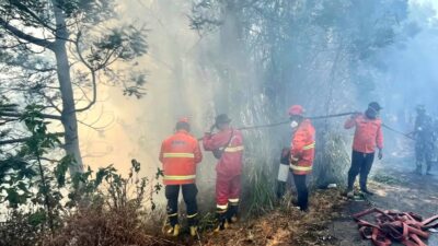 Kesulitan Pemadaman Kebakaran Hutan di Bromo akibat Cuaca Buruk