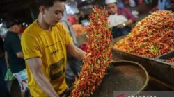 Perubahan Harga Komoditas Pangan di Indonesia