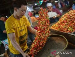 Perubahan Harga Komoditas Pangan di Indonesia