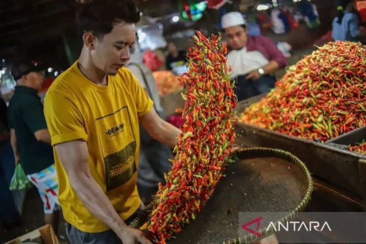 Perubahan Harga Komoditas Pangan di Indonesia