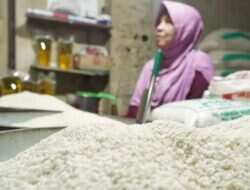 Pemerintah Jamin Ketersediaan Beras di Tengah Krisis