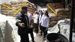 Pengawasan Komoditas: Jakarta Beraksi Melawan Penyulundupan Kacang