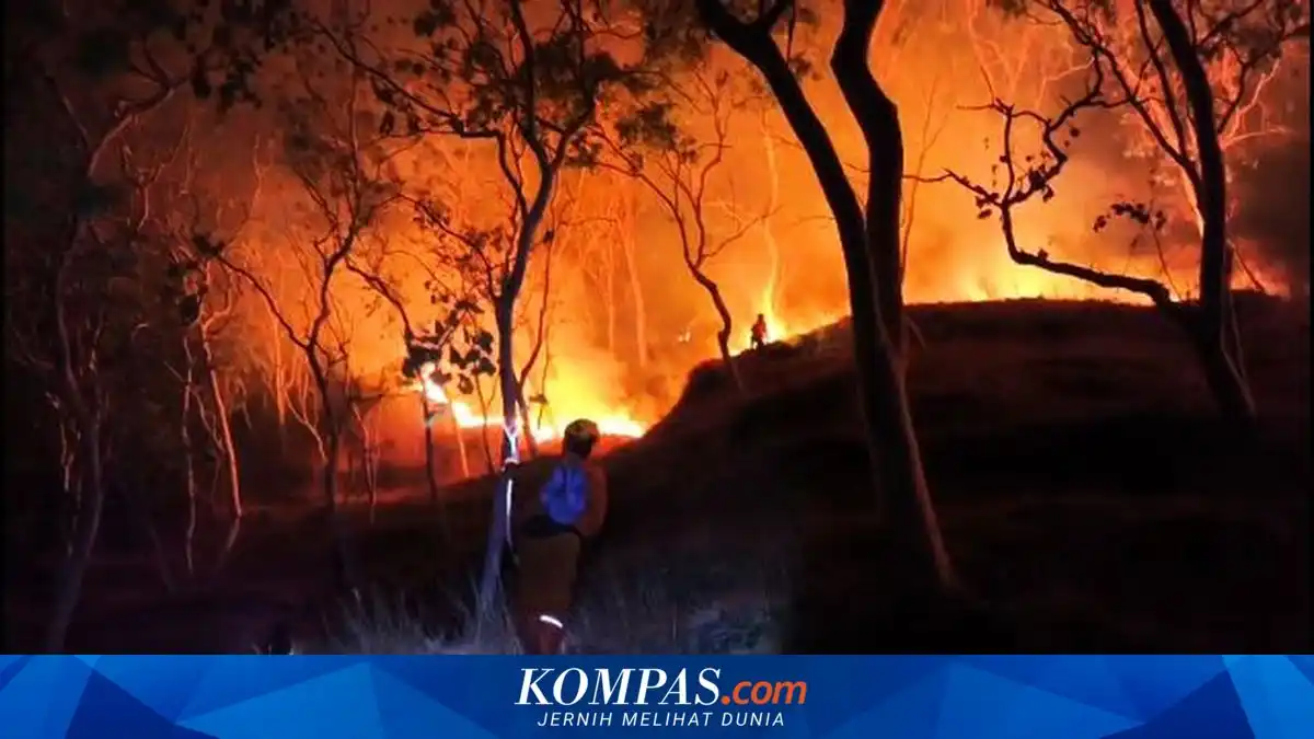 Karhutla Ponorogo Meluas hingga 341,85 Hektare di 56 Desa