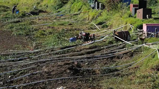 Kemarau Panjang Menguras Telaga Merdada, Petani Dieng Berupaya Selamatkan Tanaman