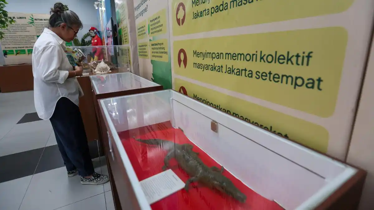 Menelusuri Pesan Kelestarian Hutan dalam Pameran Interaktif di MRT Bundaran HI