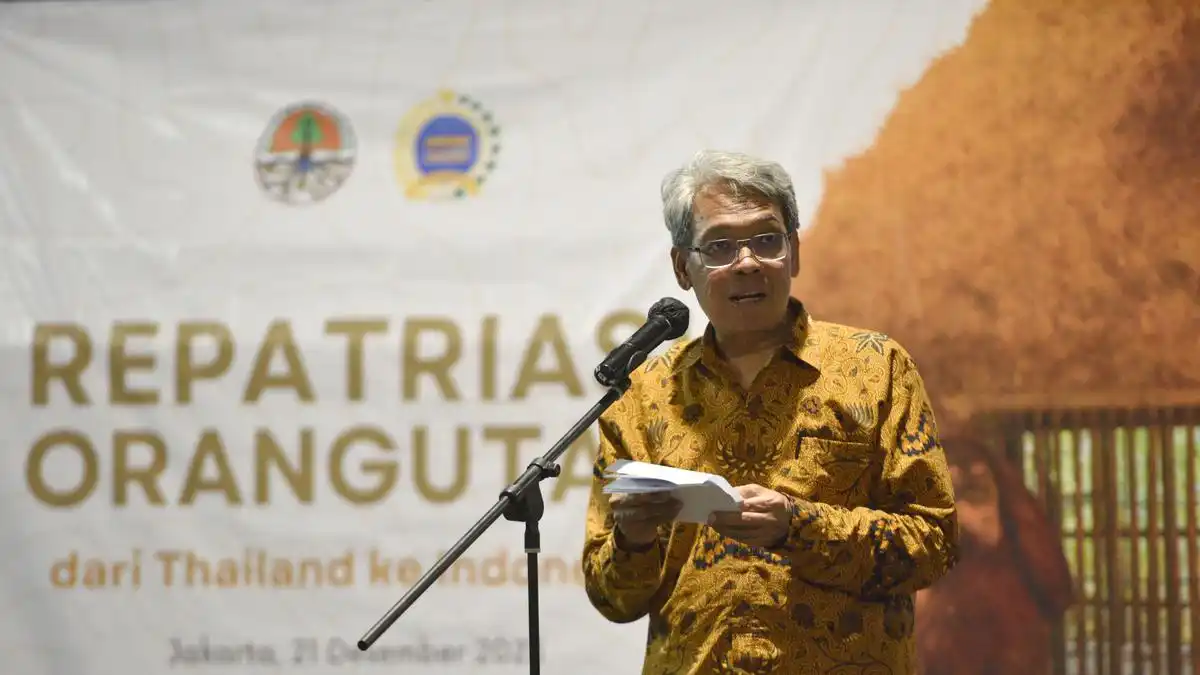 Satyawan Pudyatmoko Disiapkan Memimpin Badan Gambut dan Mangrove Nasional