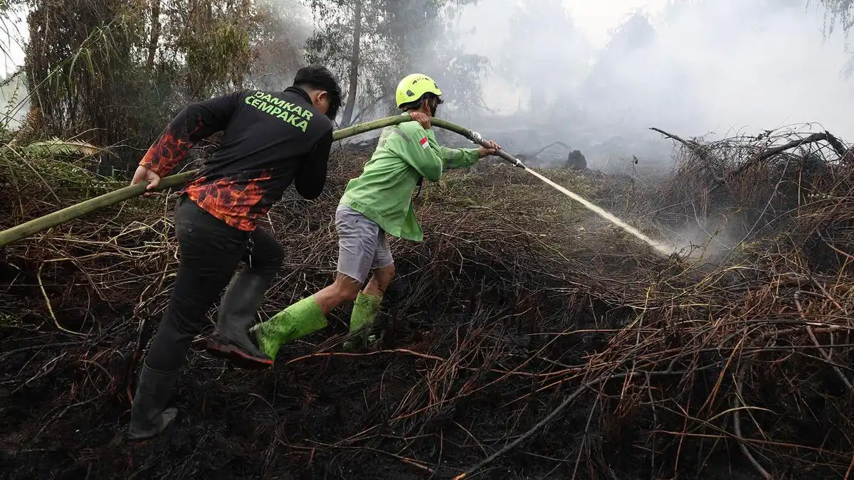 Laporan BNPB: Ratusan Hektare Karhutla Masih Ditangani, Asap Hambat Operasi Udara