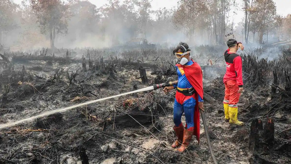 Respons Pemerintah terhadap Karhutla: Pengerahan Kekuatan, Penindakan, dan Verifikasi Konsesi