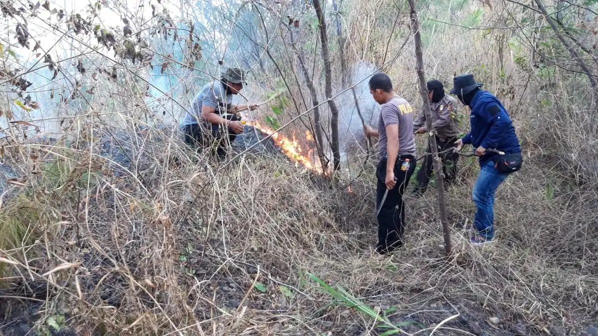 Pemerintah Siapkan Penambahan Polisi Hutan hingga 21.000 Personel pada 2027