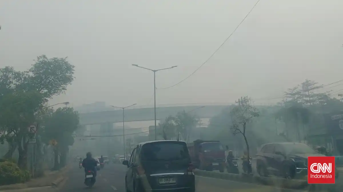 Paparan Kabut Asap Karhutla Berisiko Mengganggu Kesehatan Mata