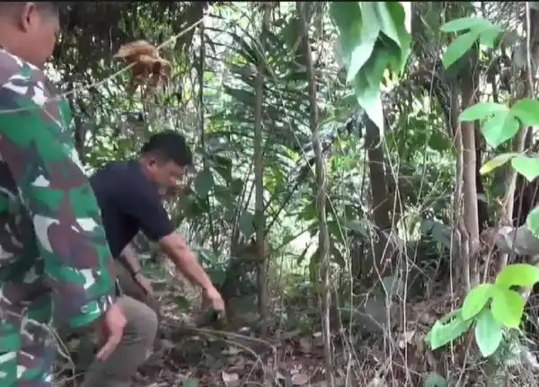 Jasad Anak Tanpa Identitas Ditemukan di Cianjur, Polisi Selidiki Dugaan Pembunuhan