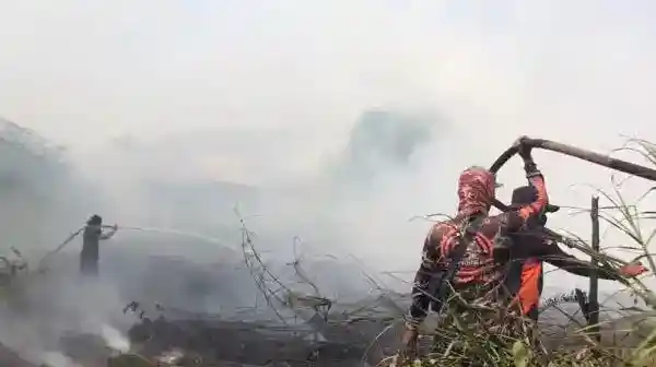 Api Karhutla Kembali Membesar di Sampit, Pemadaman Terkendala Lalu Lintas