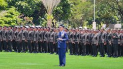 WhatsApp Image 2026 03 12 at 18.53.34 2